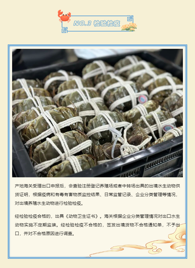 螃蟹交易流程